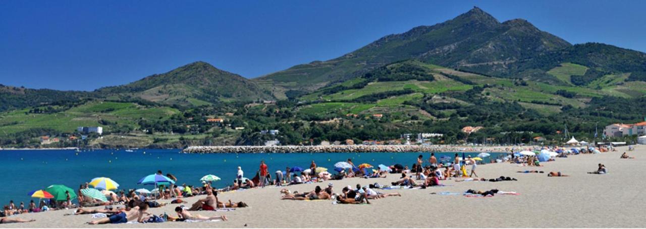 Maison Charmante A Argeles Sur Mer Pres De La Plage Avec Piscine Partagee Exterior foto